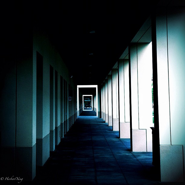 Vanishing Lines