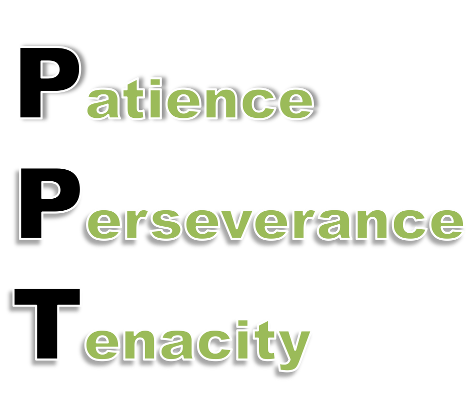 Key To Startup Success_Reflection from S353