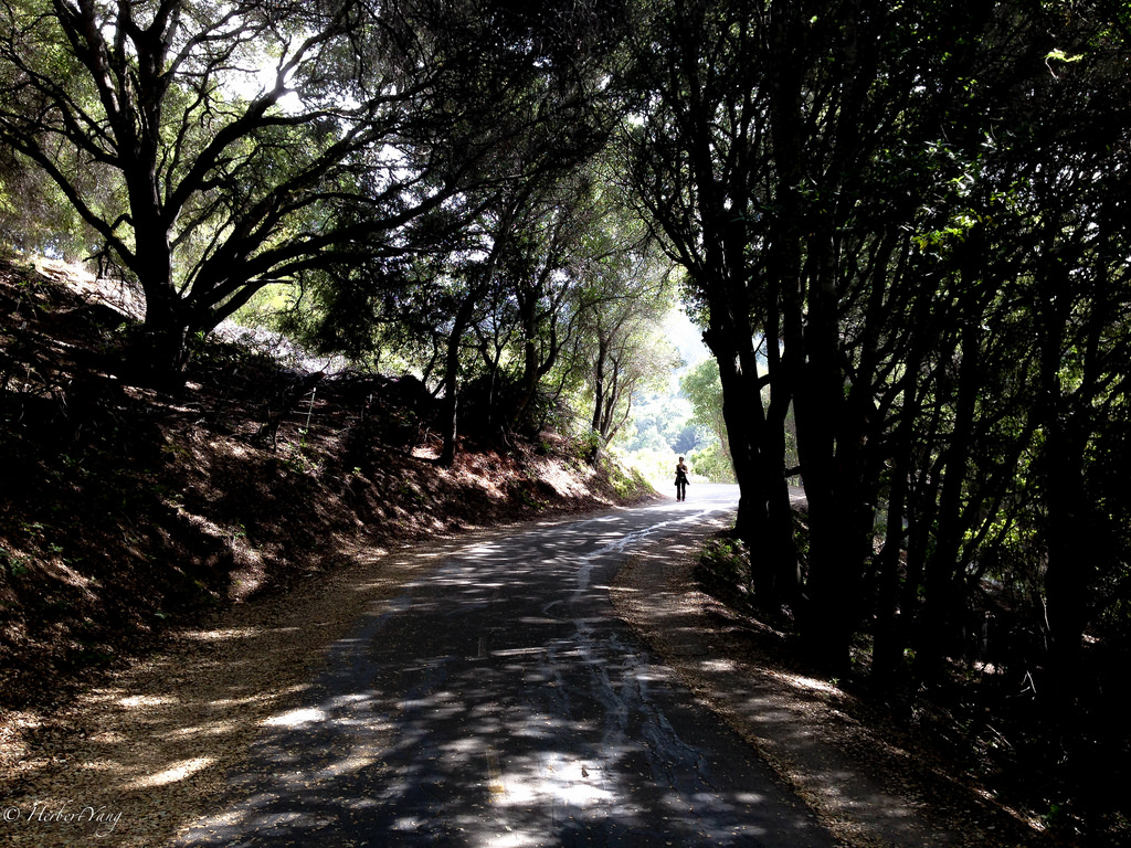 Sawyer Camp Trail