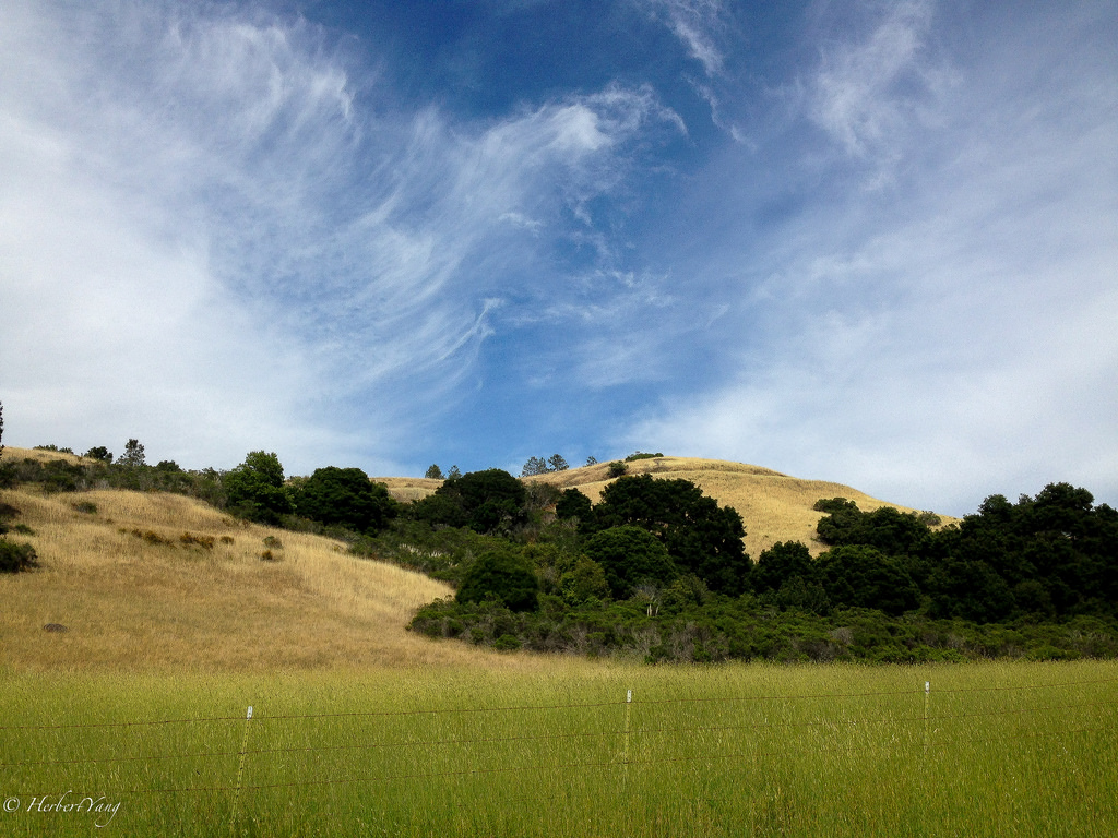 Sawyer Camp Trail
